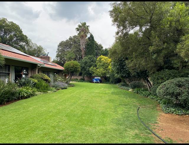 4 BEDROOM HOUSE FOR SALE IN MORNING HILL